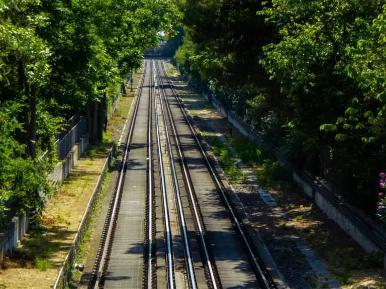 Σκύλος μπήκε στις γραμμές του ΗΣΑΠ   Διακοπή στη Γραμμή 1