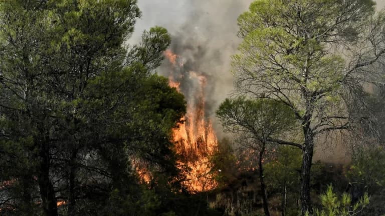 Δράμα: Σύλληψη 59χρονου για εμπρησμό από αμέλεια σε δασική έκταση