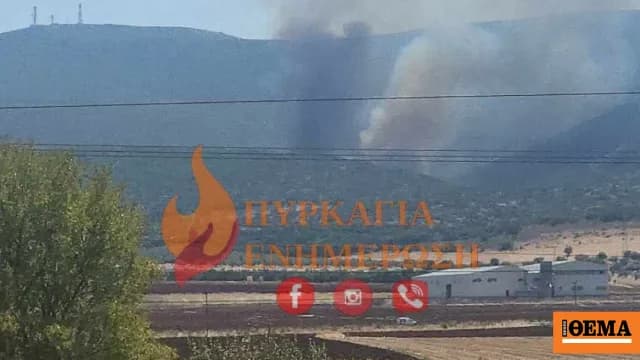 Η φωτιά στη Θήβα κινητοποίησε 42 πυροσβέστες και 8 αεροσκάφη