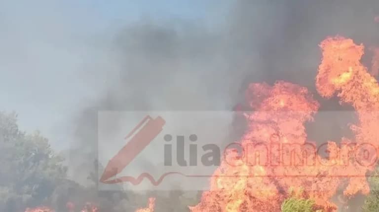 Φωτιά στα Διάσελλα Ηλείας: Απειλούνται σπίτια χωριού