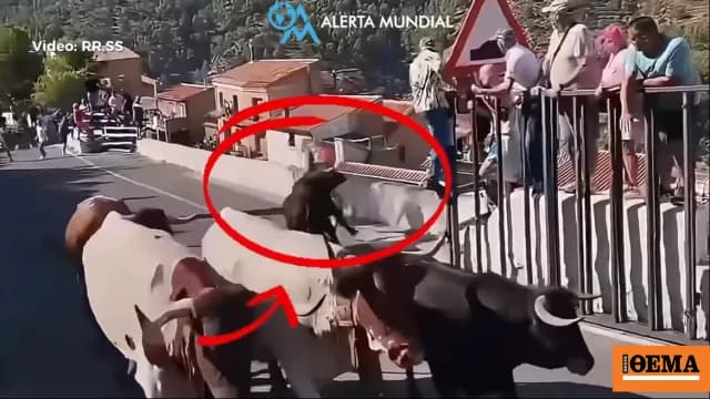 Θανατηφόρα επίθεση ταύρου σε ταυροδρομία στην Ισπανία