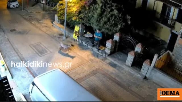 Ο λύκος στη Νικήτη Χαλκιδικής σπέρνει ξανά ανησυχία