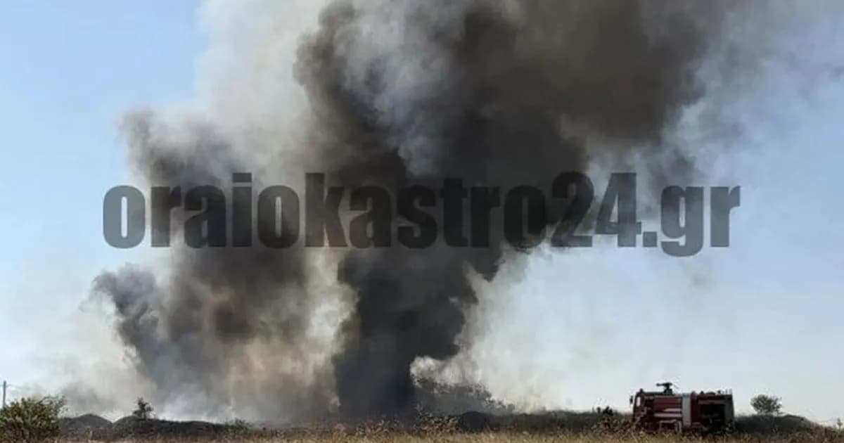 Φωτιά στη Θεσσαλονίκη: μαύροι καπνοί στο Ωραιόκαστρο