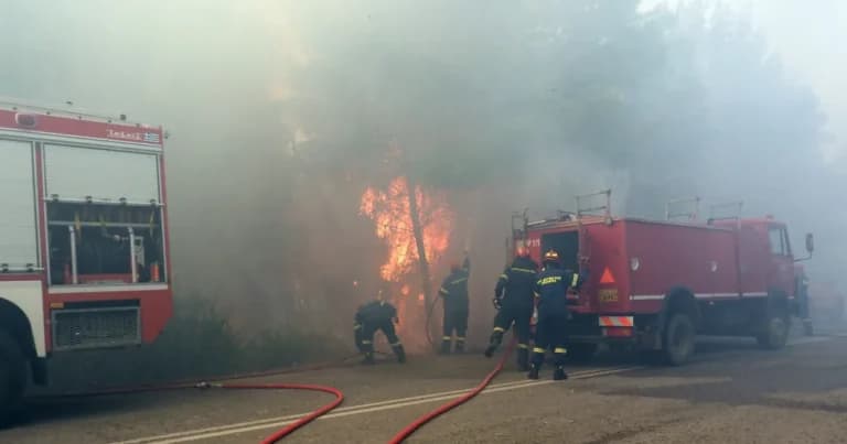 Φωτιά σε δάσος στο Καταφύλλι Καρδίτσας, επιχειρεί ελικόπτερο