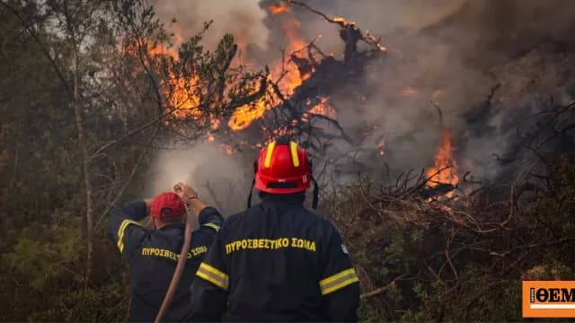 Φωτιά στην Τριανταφυλλιά Ηλείας: Κινητοποίηση 30 πυροσβεστών