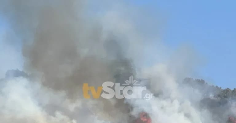 Φωτιά στη Λαμία: Κινητοποίηση 40 πυροσβεστών