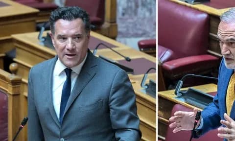 Ο Γεωργιάδης κατηγορεί τον Σαλμά: Σύγκρουση στη Βουλή