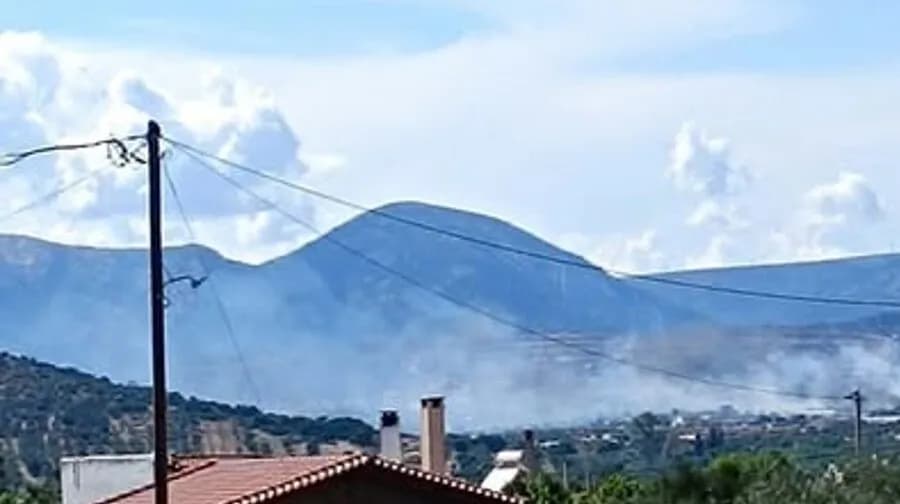 Φωτιά στα Καλύβια Θορικού: 62 πυροσβέστες στη μάχη