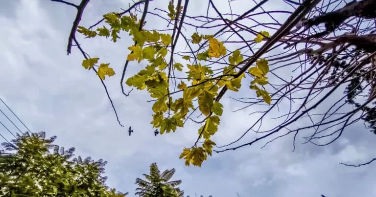 Ο καιρός σήμερα: Ζέστη έως 35°C και βροχές στα βόρεια