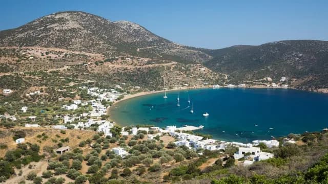 Ο λαγοκέφαλος στις ελληνικές θάλασσες: κίνδυνοι και οδηγίες