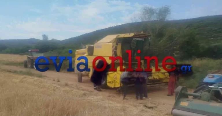 Σύλληψη 64χρονου για πυρκαγιά από αμέλεια στην Εύβοια