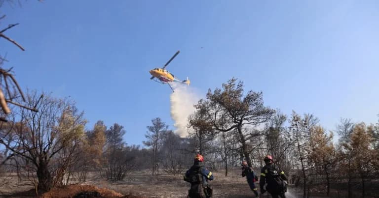 Δύο συλλήψεις για πυρκαγιές από αμέλεια σε Δομοκό και Σαλαμίνα