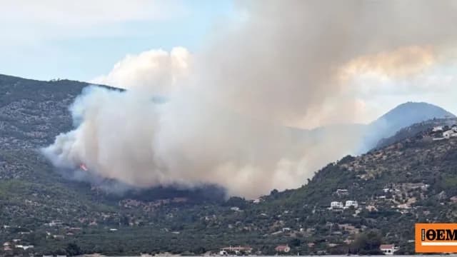 Φωτιά στο Λουτράκι: 56 πυροσβέστες στη μάχη με τις φλόγες