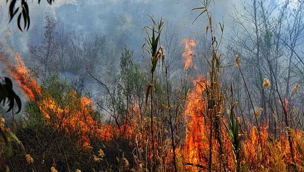 Φωτιά στην Ανθήλη Φθιώτιδας: Σηκώθηκαν 2 αεροσκάφη