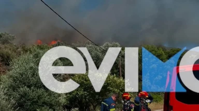 Μεγάλη φωτιά στην Εύβοια κοντά στον Αλμυροπόταμο