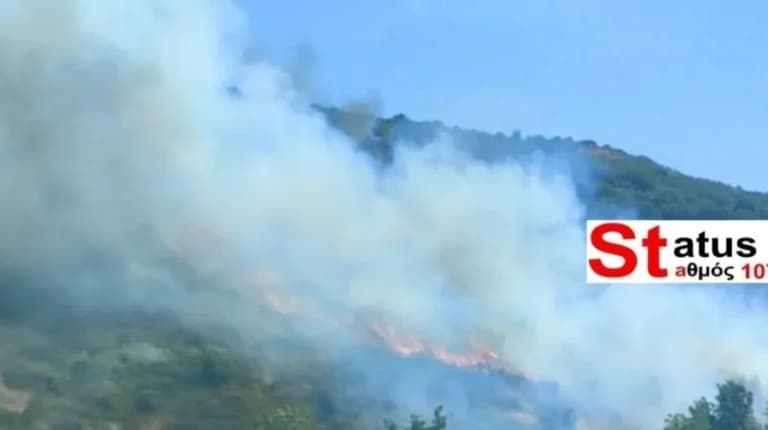 Πυρκαγιά στα Πεύκα Θεσσαλονίκης: Μεγάλη κινητοποίηση