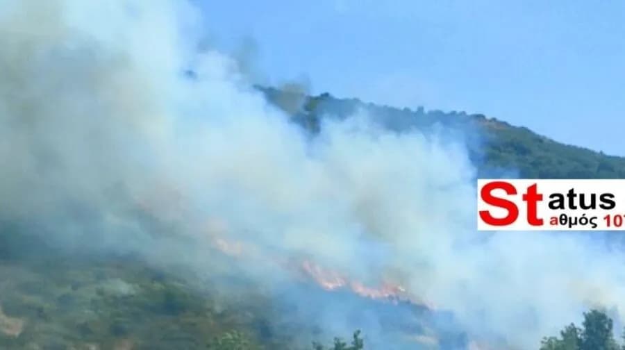 Πυρκαγιά στα Πεύκα Θεσσαλονίκης: Μεγάλη κινητοποίηση