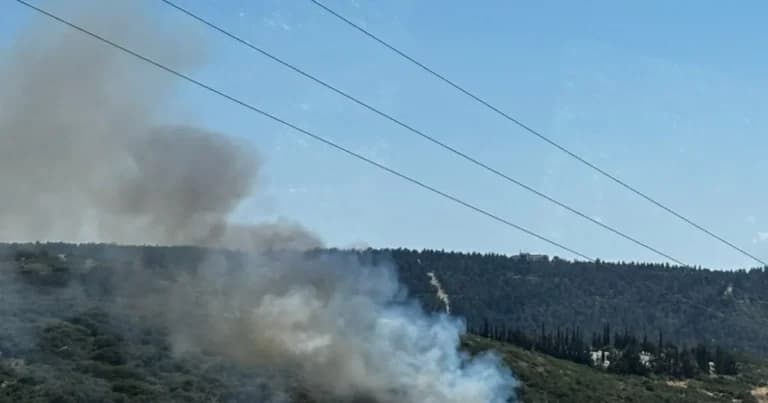 Η Φωτιά στα Πεύκα Θεσσαλονίκης: 56 πυροσβέστες στο πεδίο