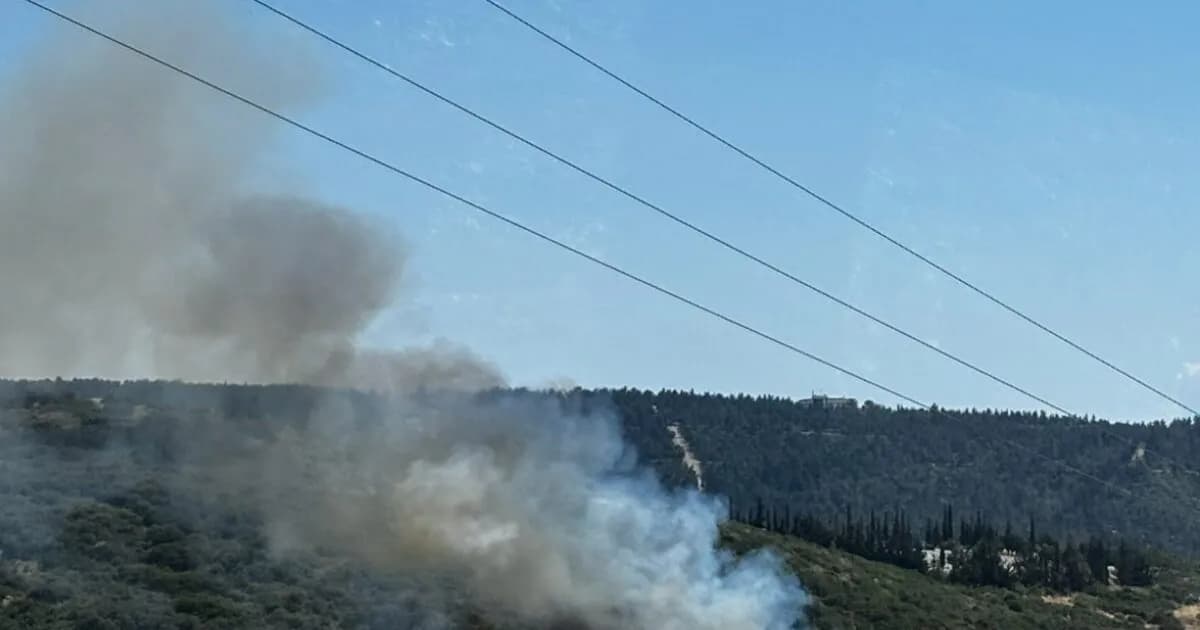 Η Φωτιά στα Πεύκα Θεσσαλονίκης: 56 πυροσβέστες στο πεδίο