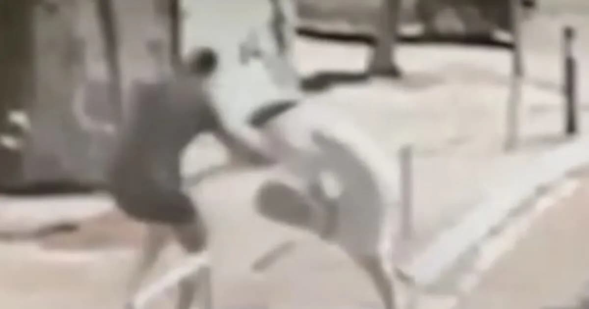 Ανήλικοι ληστές στον ΗΣΑΠ: 9 συλλήψεις για επιθέσεις σε ηλικιωμένους