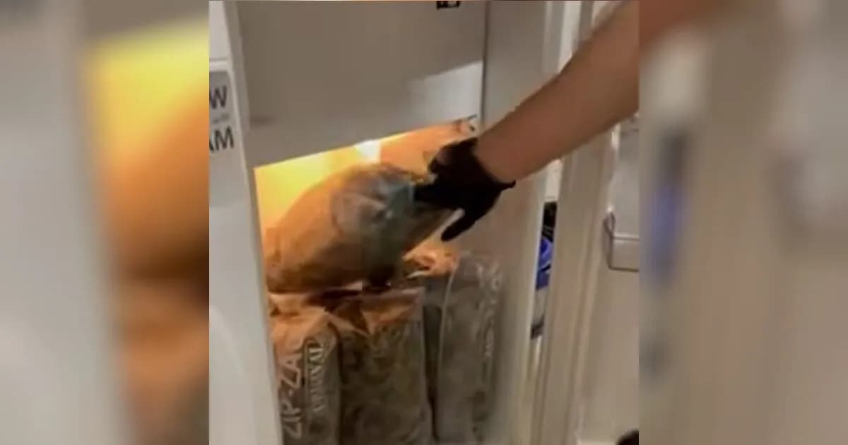 Εντοπίστηκε εργαστήριο κάνναβης στην Κινέτα, 2 συλλήψεις