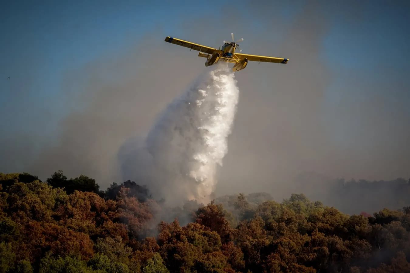 Οι 37 πυρκαγιές που ξέσπασαν σήμερα σε όλη τη χώρα