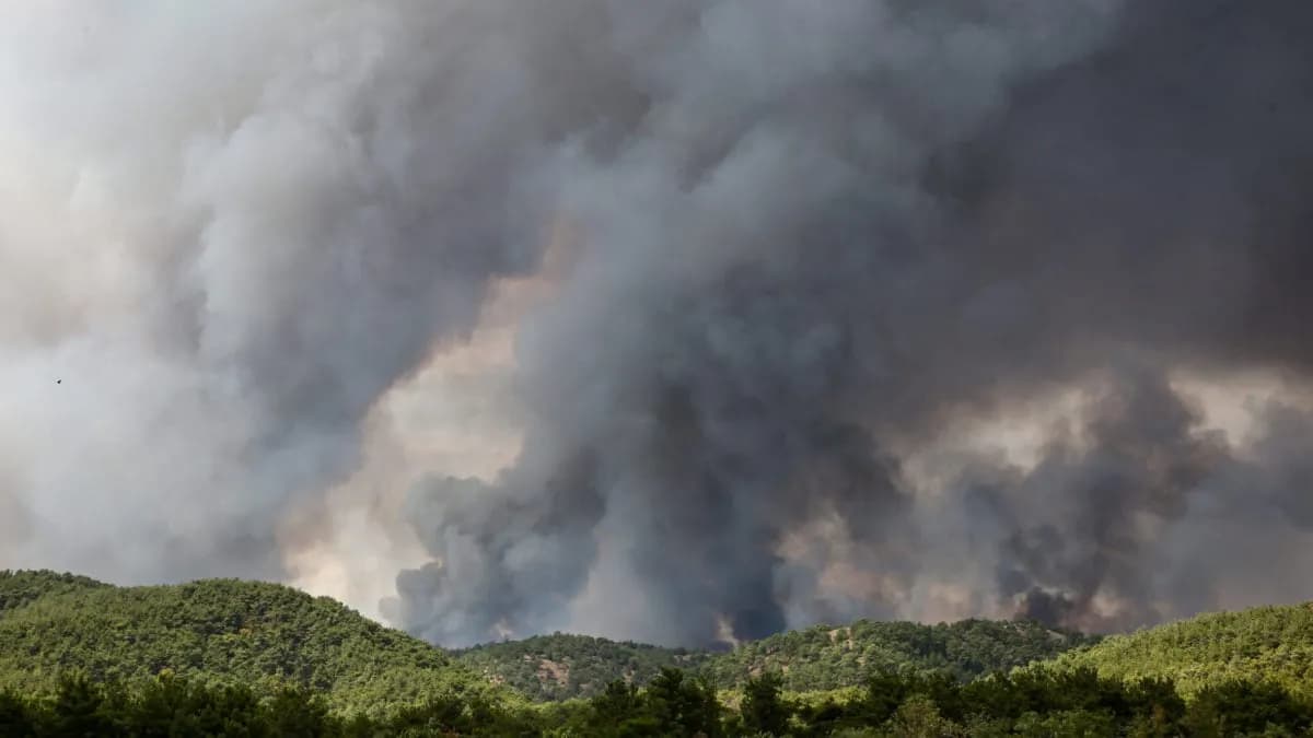 Νέες συλλήψεις για πυρκαγιές από αμέλεια σε Έβρο και Γρεβενά