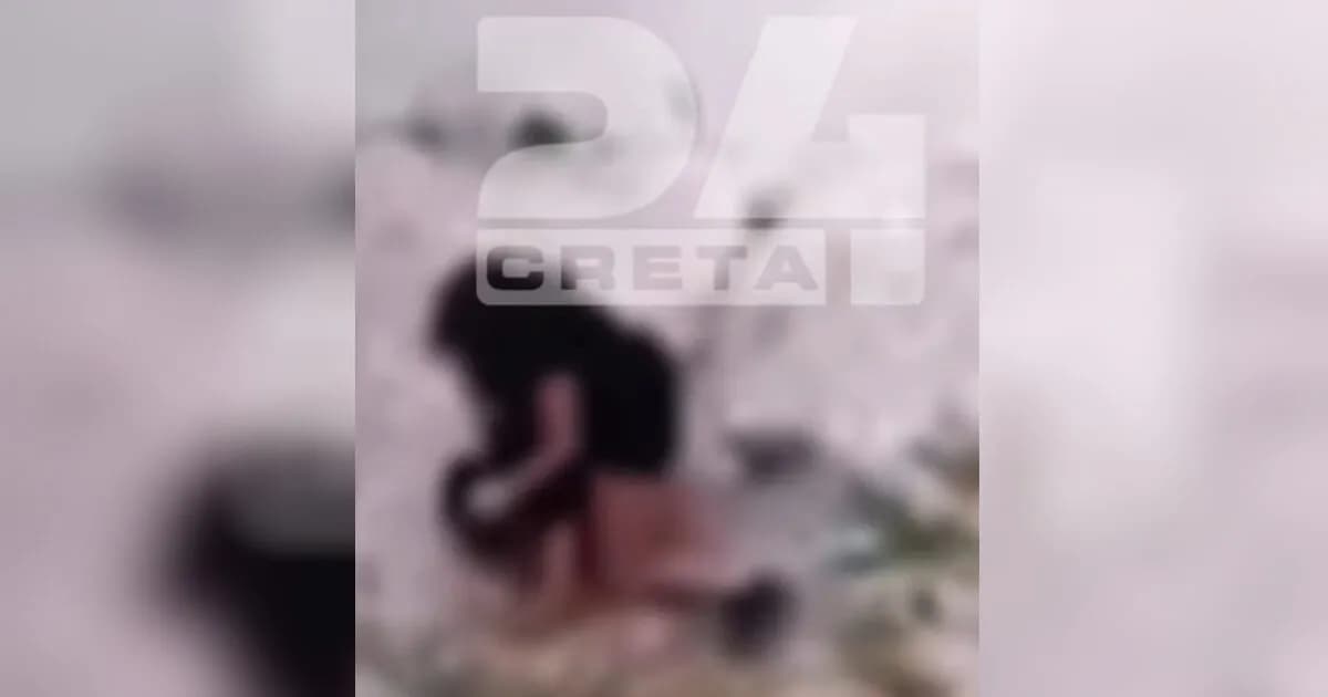 Ο ξυλοδαρμός 15χρονης στο Ηράκλειο Συνελήφθησαν δύο ανήλικες