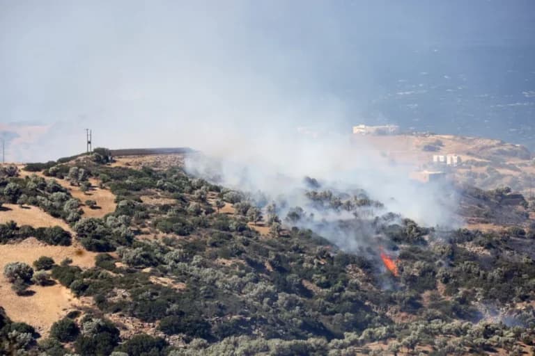 Ο ΔΕΔΔΗΕ απαντά στις κατηγορίες για τις πυρκαγιές