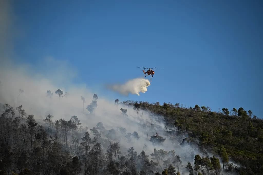 Σύλληψη 30χρονου για τη φωτιά στη Χαλκιδική