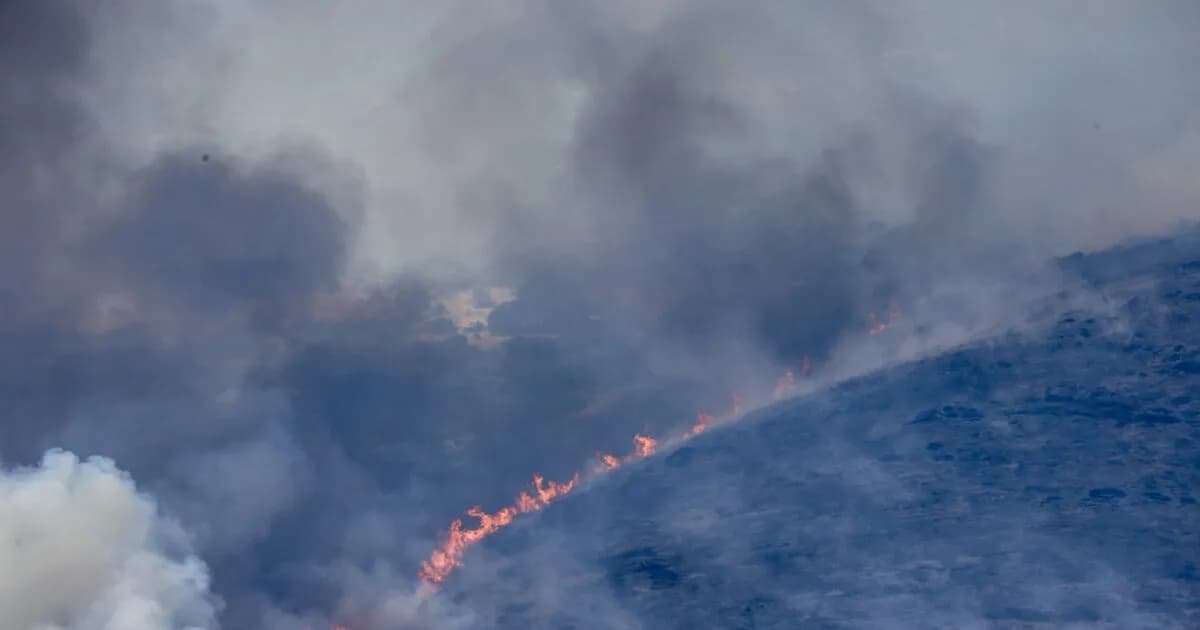 Η φωτιά στο Κυριάκι Βοιωτίας οριοθετήθηκε σε 20 λεπτά