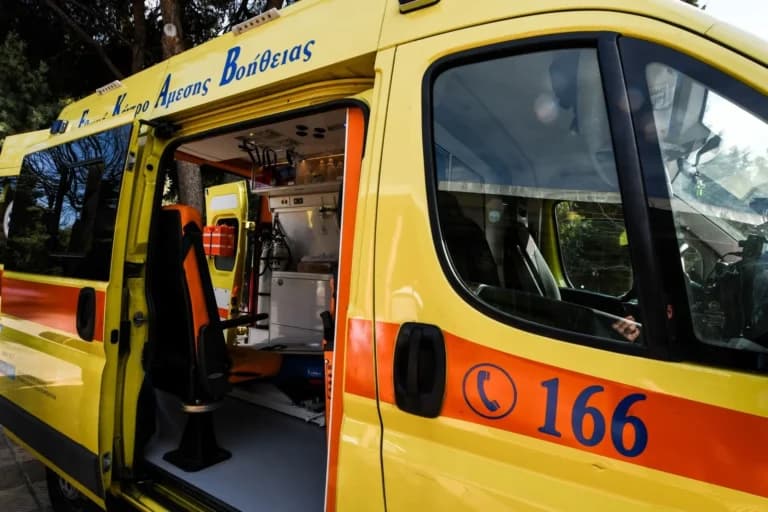 Βόλος: Σοκαριστική επίθεση αδέσποτου σκύλου σε 6χρονο