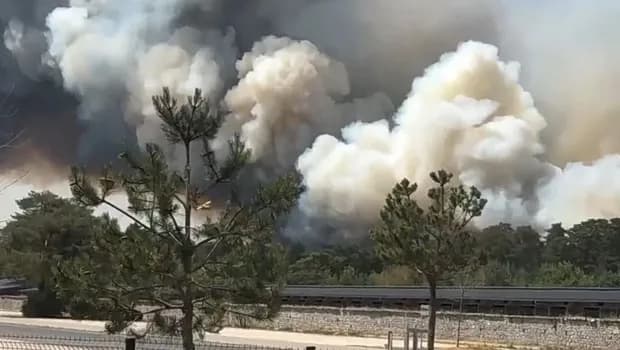 Η πυρκαγιά στο Φοντενεμπλό έκαψε 10.000 στρέμματα δάσους