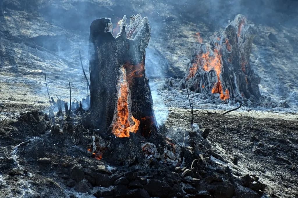Οκτώ συλλήψεις για εμπρησμούς σε τέσσερις περιοχές