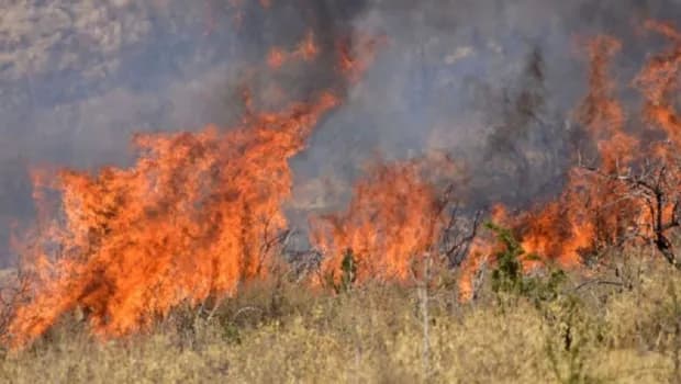 Φωτιά στο Παλαιοχώρι Φθιώτιδας – Επιχειρούν 30 πυροσβέστες
