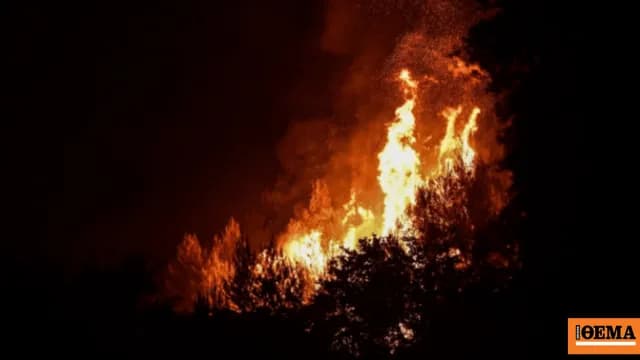 Υψηλός κίνδυνος πυρκαγιάς στην Κρήτη Τρεις συλλήψεις στο Κιλκίς