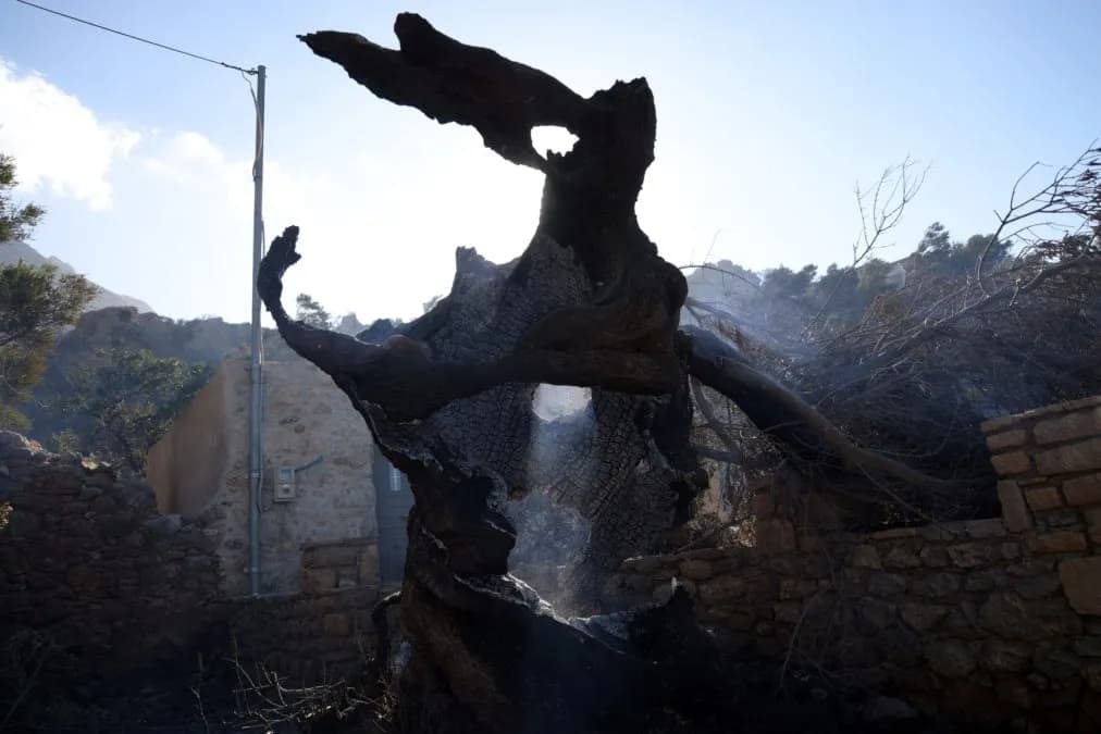 Συνελήφθη στέλεχος ΔΕΔΔΗΕ για τη φωτιά στο Ρέθυμνο