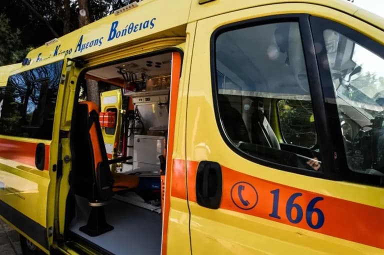 Τσακάλι επιτέθηκε σε 4χρονη στην Πολίχνη Θεσσαλονίκης