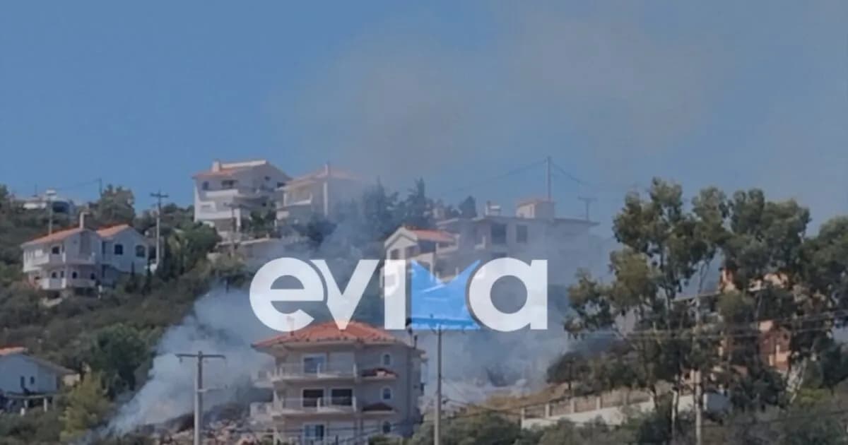 Φωτιά στο Αλιβέρι: Σβήστηκε μέσα σε 15 λεπτά