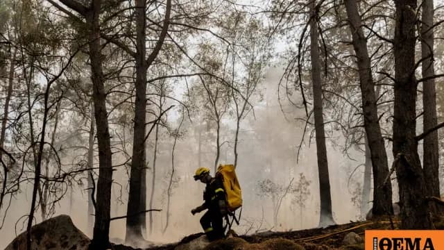 Έξι συλλήψεις για τη φωτιά στο Φοντενεμπλό της Γαλλίας