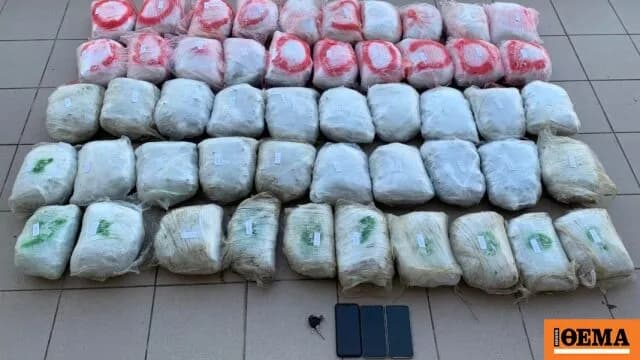 Ο 68χρονος συνελήφθη στη Φλώρινα με 55 κιλά κάνναβης