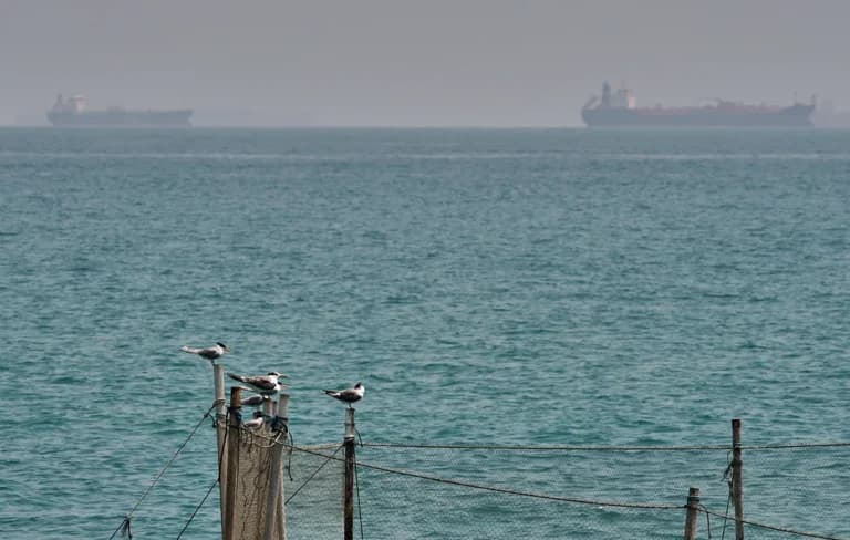 Το Ιράν ανακόπτει τέσσερα πλοία στα Στενά του Ορμούζ