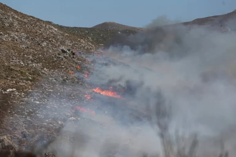 Πυρκαγιά στη Μεγαλόπολη Αρκαδίας: 48 πυροσβέστες στη μάχη