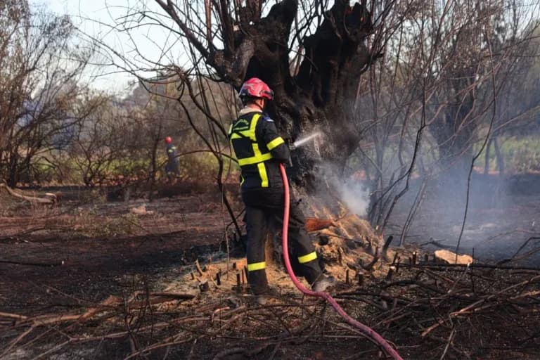 Δύο συλλήψεις για πυρκαγιά στην Καβάλα από αμέλεια