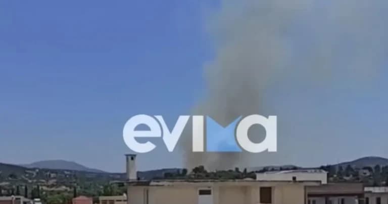 Μεγάλη φωτιά στην Εύβοια: Συναγερμός στο Αλιβέρι