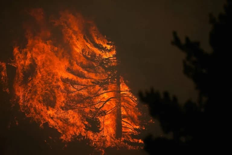 Η Γαλλία και η Ισπανία μάχονται τις μεγάλες πυρκαγιές