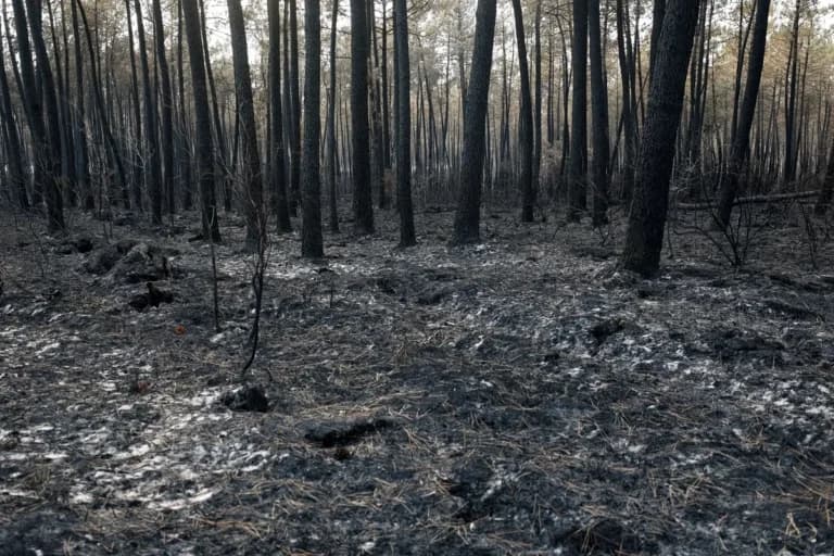 Οι πυρκαγιές στη Γαλλία φέρνουν δωρεές, συλλήψεις στην Ελλάδα