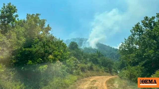 Η φωτιά στα Κανάλια Μουζακίου κινητοποίησε 5 εναέρια