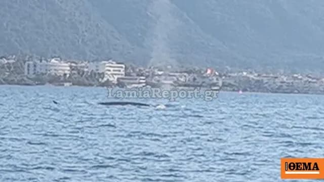 Ο φυσητήρας επέστρεψε στα Καμένα Βούρλα, δείτε βίντεο