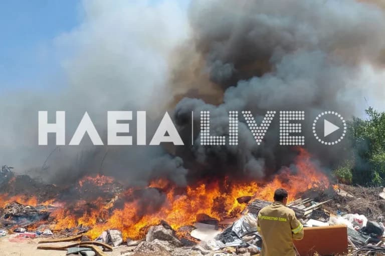 Η φωτιά στο Βαρθολομιό Ηλείας τέθηκε υπό έλεγχο μετά από ώρες